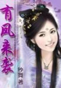 未来朋克时代