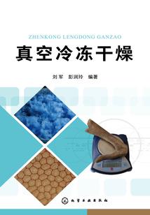 魔法逆世之时空之旅