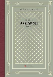 为爱冲锋：老实人的反击