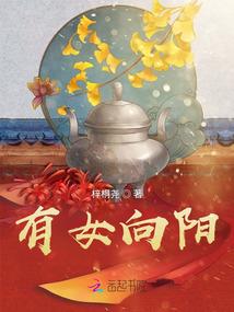 高原之巅的太阳王城