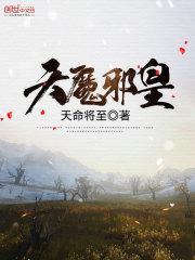 风陵物语