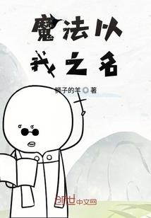 我的倾世男妃