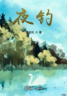 小叶子的追星计