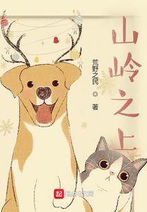 十年锦瑟之总裁下手留情