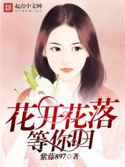 皇商闺秀