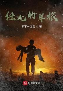 神奇宝贝冠军系统