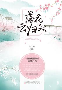 神奇宝贝之真嗣传奇