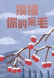 钢蛋修行记