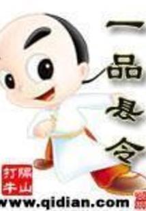 特工皇妃：驯服异世美男