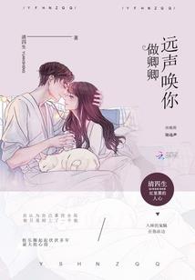 爱情里我只是一个傻瓜