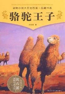 倾城之纯爱