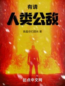飞龙将