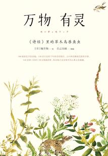 时空法骑