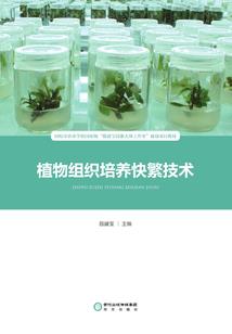 吸血鬼女王的甜蜜爱恋