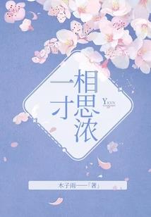 又见红楼