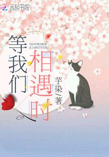 娱乐：开局忽悠杨老板，缔造传奇