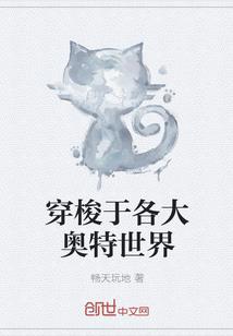 我的西行团队
