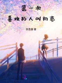 查理九世之多多囧事