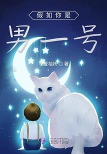 我和单身说再见