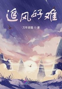 舍斋
