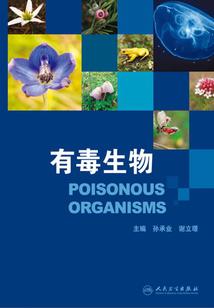 错嫁小娇妻