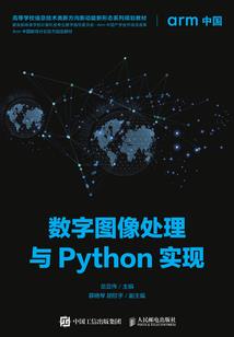 复仇女王之冷酷凯旋
