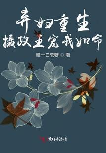 超次元星卡师