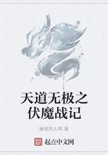 商业解决师