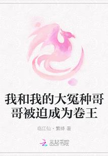 心理侧写师狂想曲