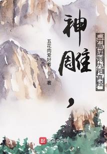 侠岚之印