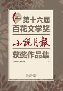 少年少将
