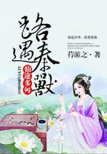合约仙人