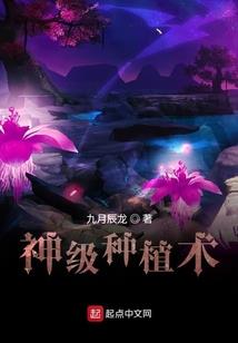 灵魂兽主