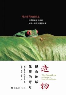 时光龙的聊天群