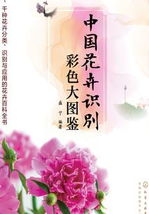墨染霓裳