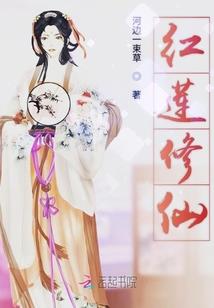 引路人实录