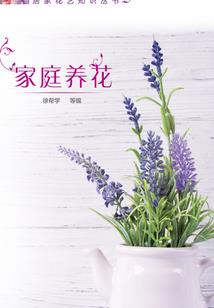寻魂归