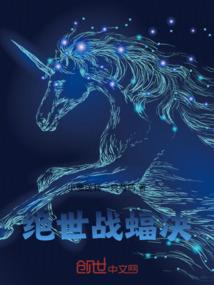 乱世飞贼