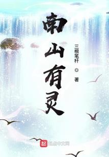 重生大清之嘉庆大帝