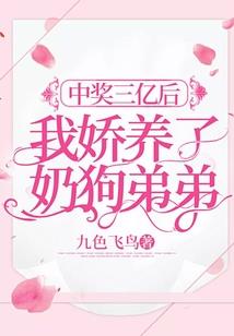 冰山天后的医武赘婿