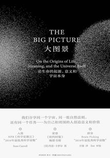 穿越都市系统娱乐心