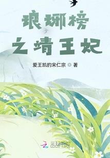 宠物小精灵圣神传说第一部
