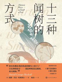 从盲盒开始当神豪
