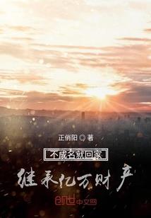 言情伪述