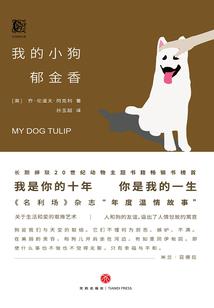 龙魂医仙