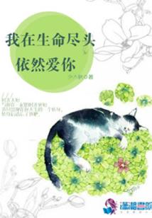 夜羽回忆录