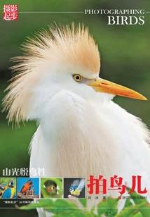 幸福在北路在南