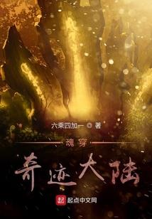 德鲁伊的无限旅途