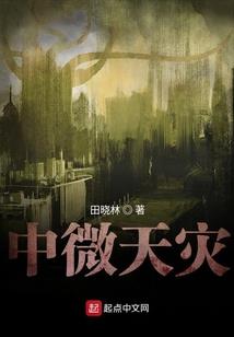 纯宁传
