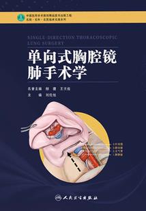 微光之城